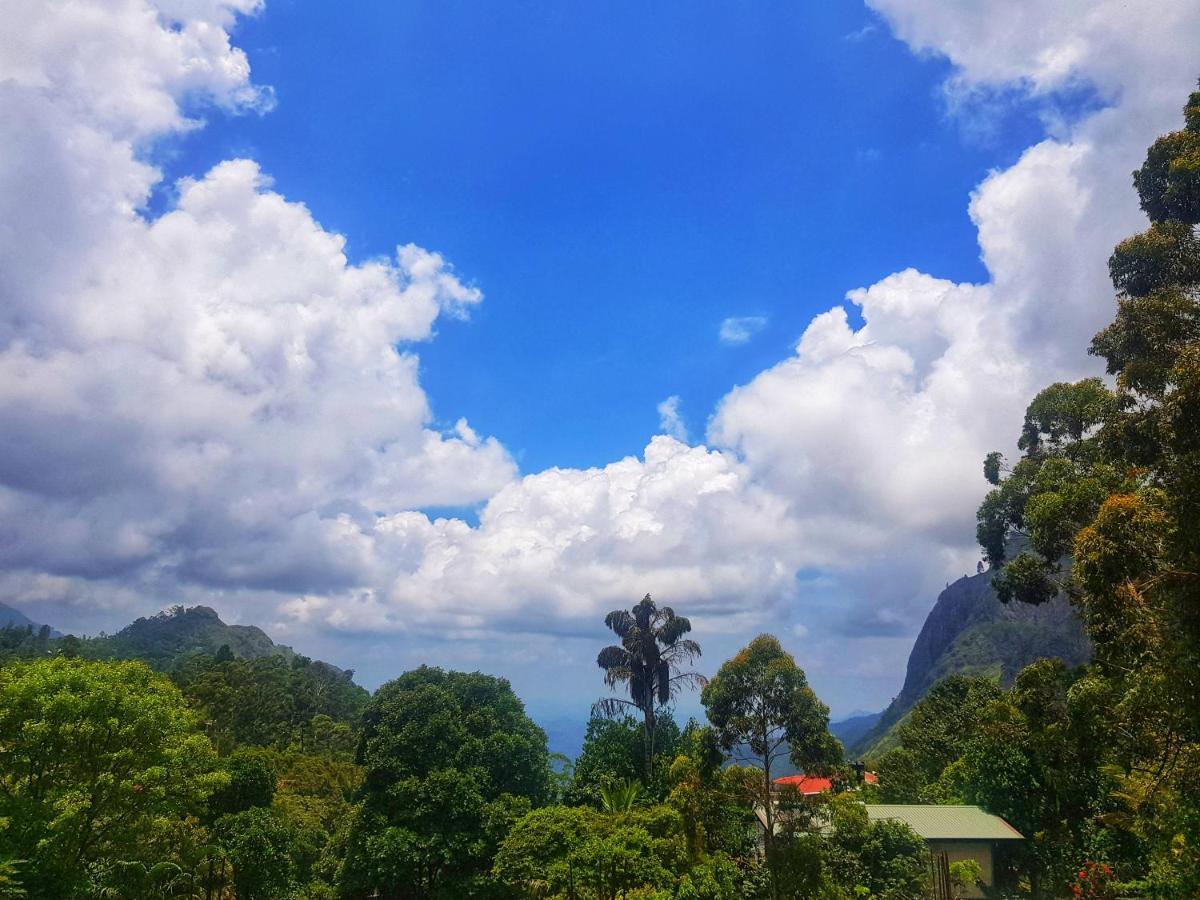Holly House Homestay Ella Bagian luar foto
