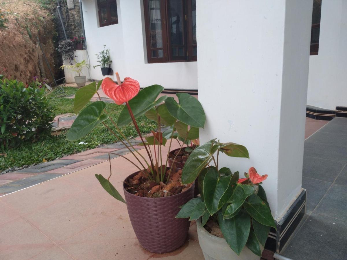 Holly House Homestay Ella Bagian luar foto